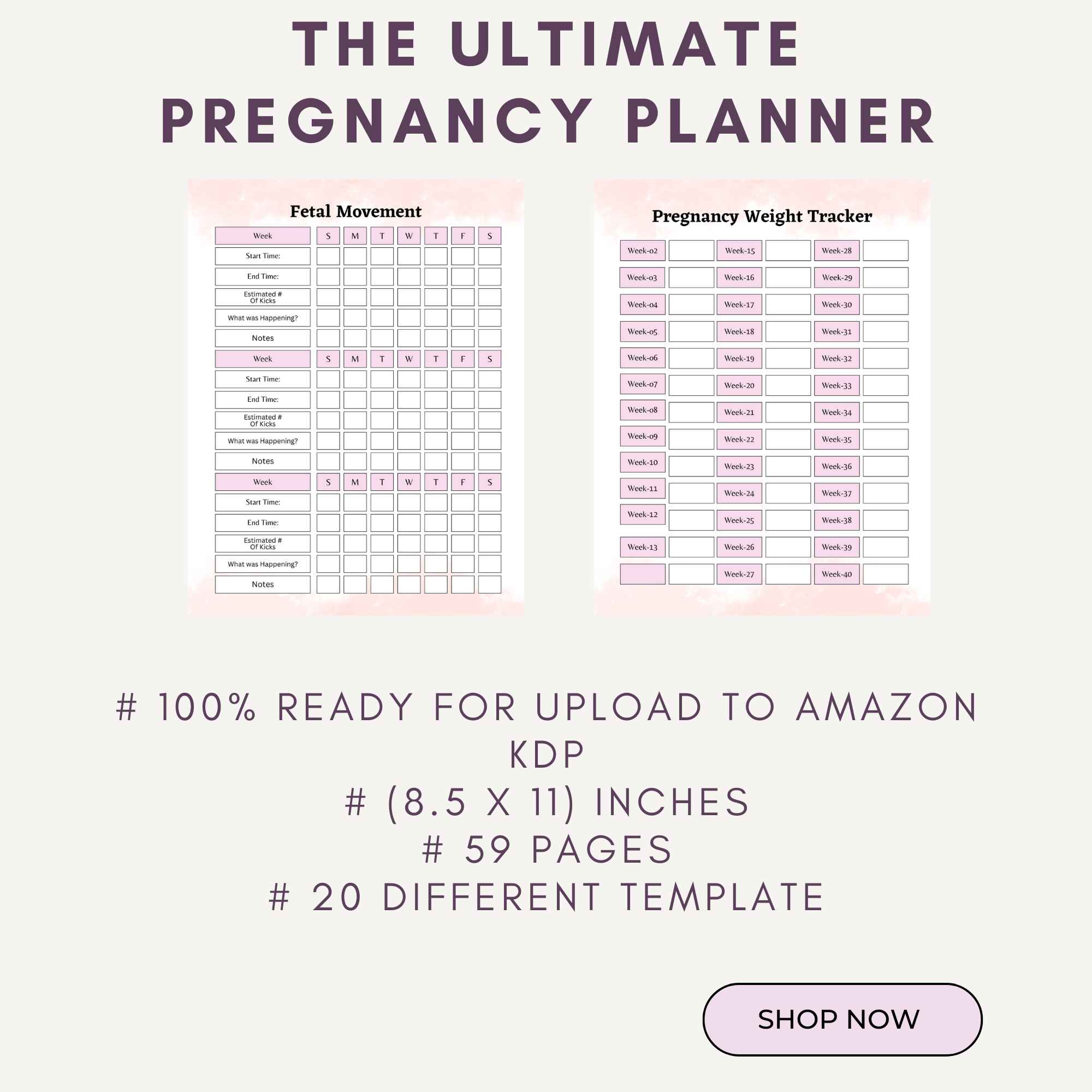 Printable Birth Plan Template